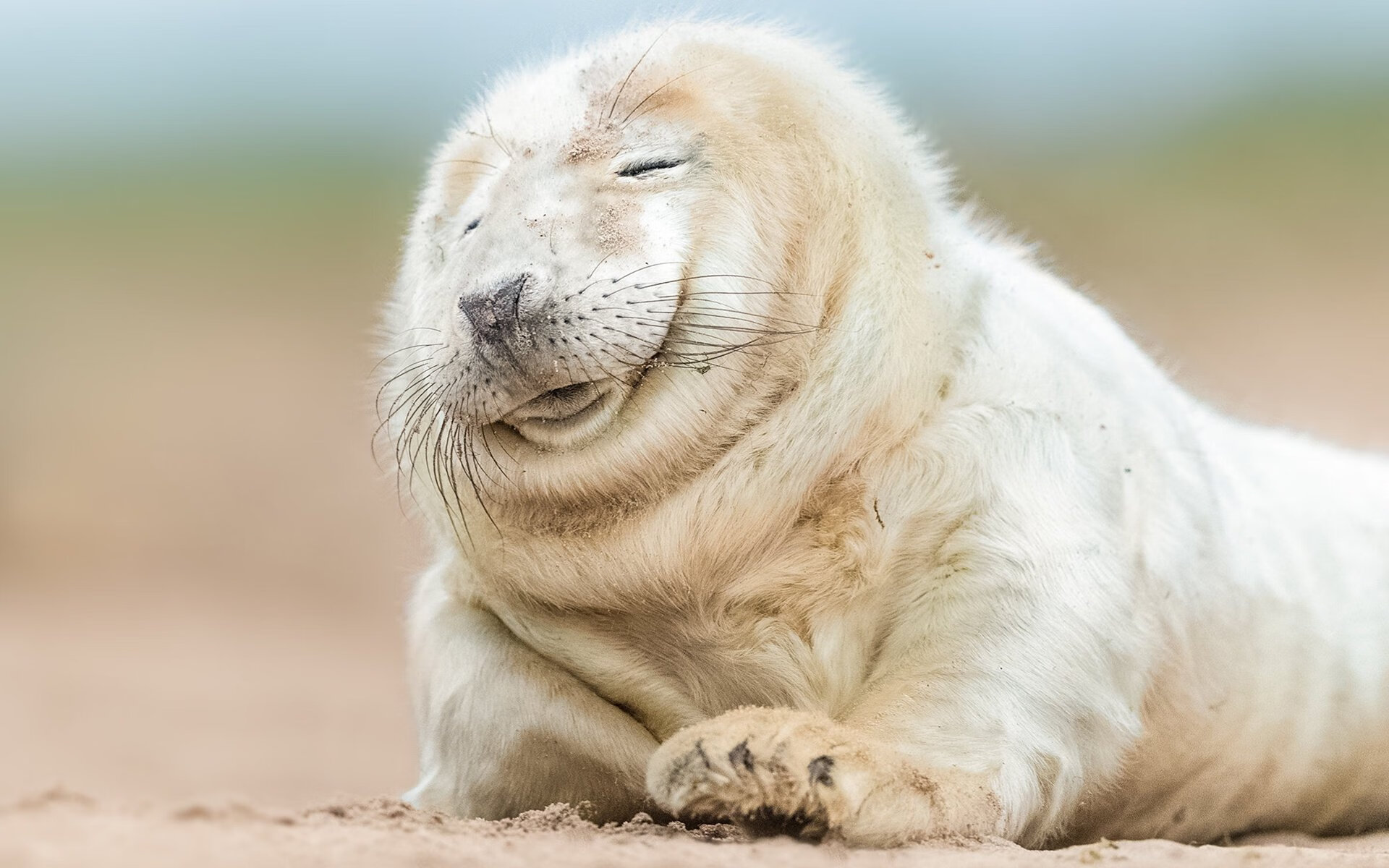 B体育中国内陆官方网站-_火箭逐渐找回节奏，季后赛希望明朗_，火箭无缘季后