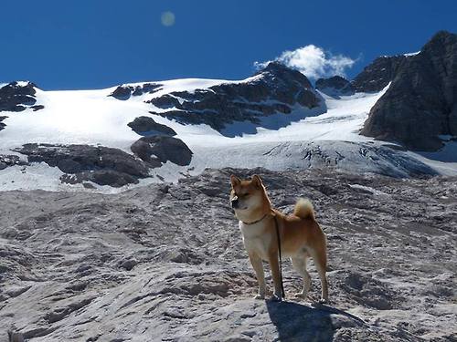 B体育亚洲官方网站-“英超积分榜变化频繁，冠军争夺逐渐白热化”，英超积分榜趣闻