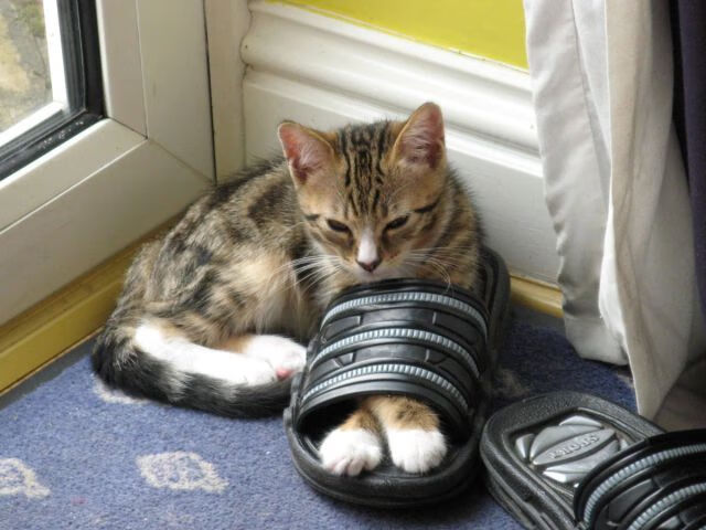 B体育网页版登录-“英超荣耀之战：年轻球员状态火爆”，2020年四度获得英超月度最佳球员荣誉