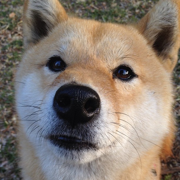 全民运动会开幕式,激发全民健身热情,全民健身运动会开幕式主持词