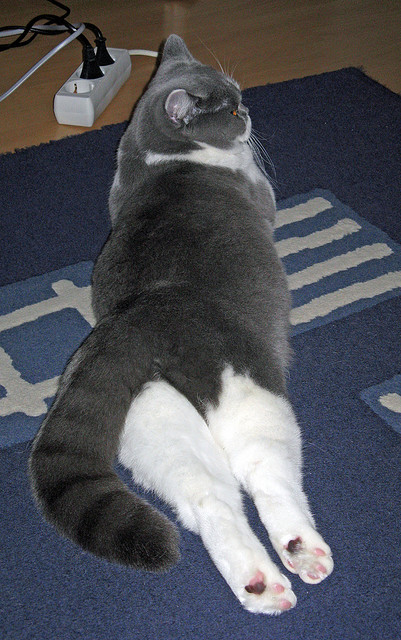 哥伦比亚队中场卡瓦尼在巴黎奥运会上展现出强大的进攻组织能力