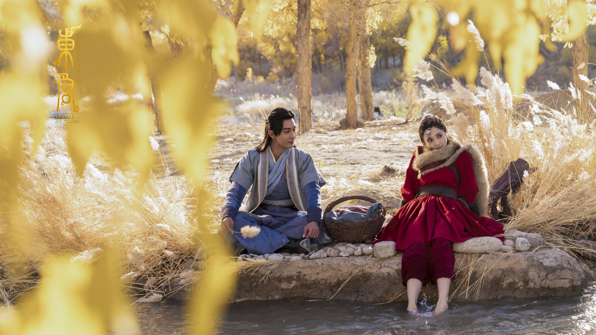 安全措施升级：保障车手生命安全的每一步，确保车辆安全运行