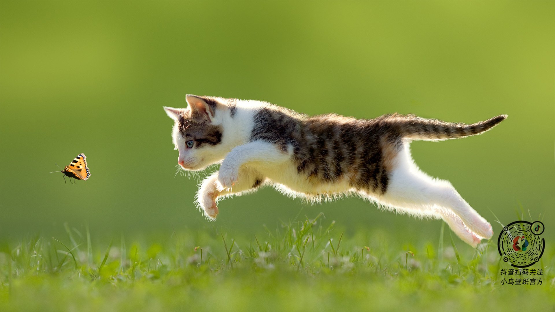 安娜·路易莎·斯利亚赫提卡斯在南美锦标赛中获得女子反曲弓金牌