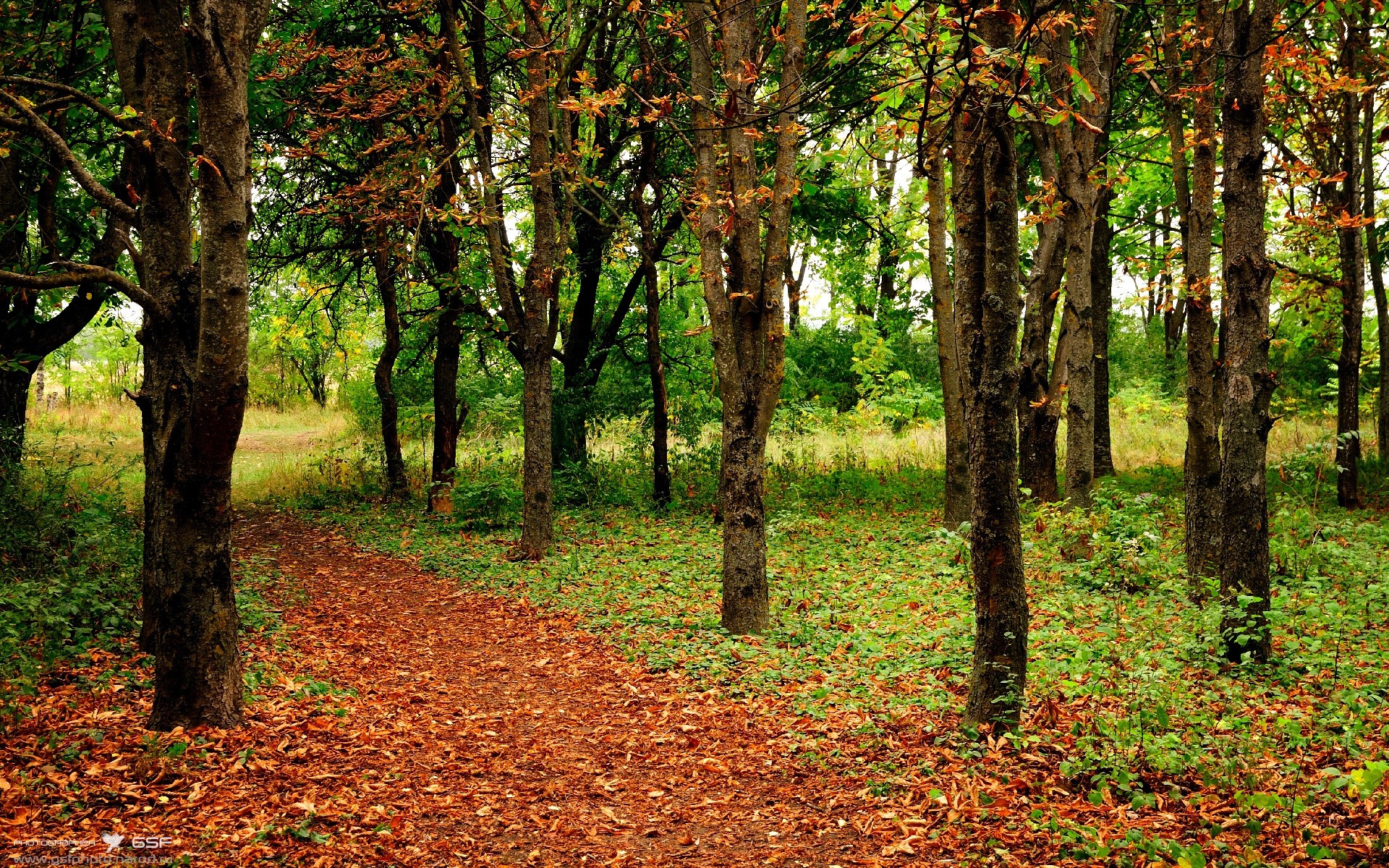 B体育网页版登录-曲棍球联赛打响，老牌劲旅展开争夺，曲棍球职业联赛