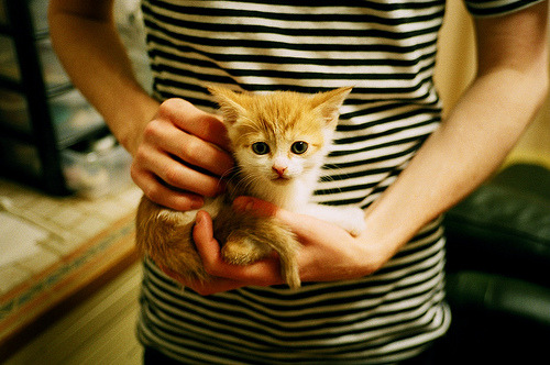 北爱尔兰遗憾落败,出线面临艰难,北爱尔兰1972