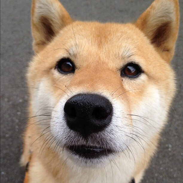 BSPORT 官网-国足心理训练有效，比赛表现更稳健，国足训练视频集锦