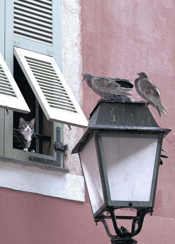 b体育在线平台-波兰队意外出局：瑞典队胜利晋级四强，瑞典波兰在哪比赛