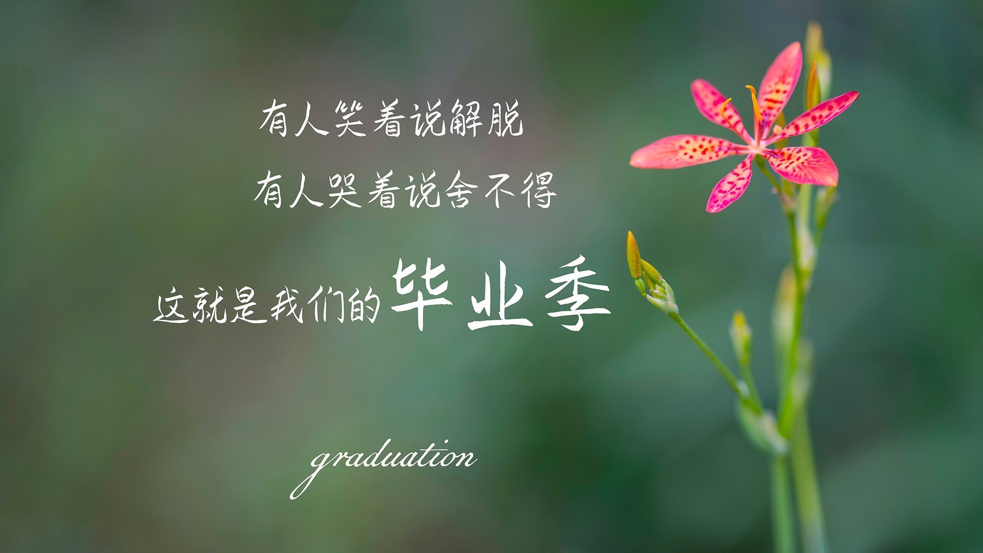 电竞电竞赛事风险管理体系构建及安全防护技术应用，电竞赛事风险预案