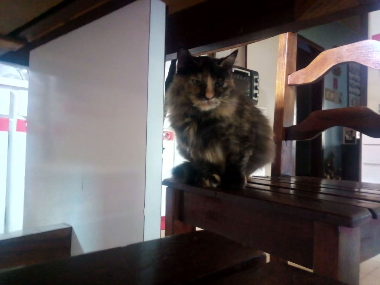 马来西亚女足表现稳定,小组出线,马来西亚足协