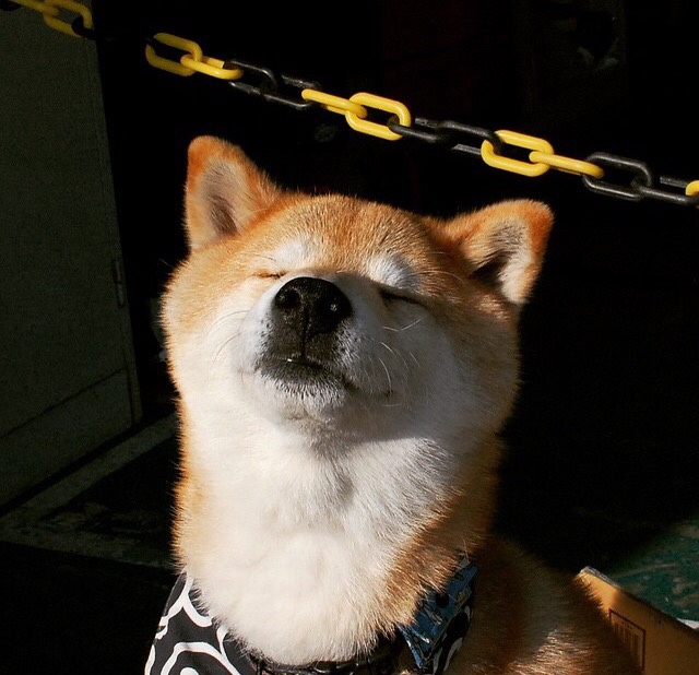 NBA球队健康管理体系，nba的健康和安全协议是什么