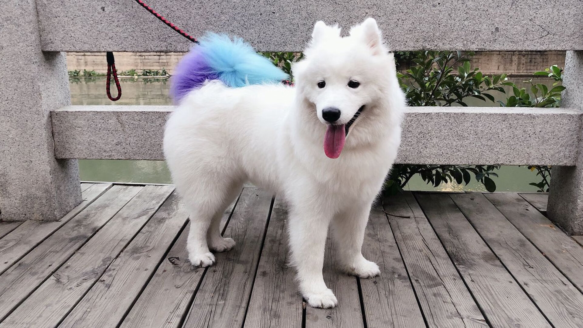 体教融合视角下的校内竞赛体系构建方案，学校体教融合经验交流材料