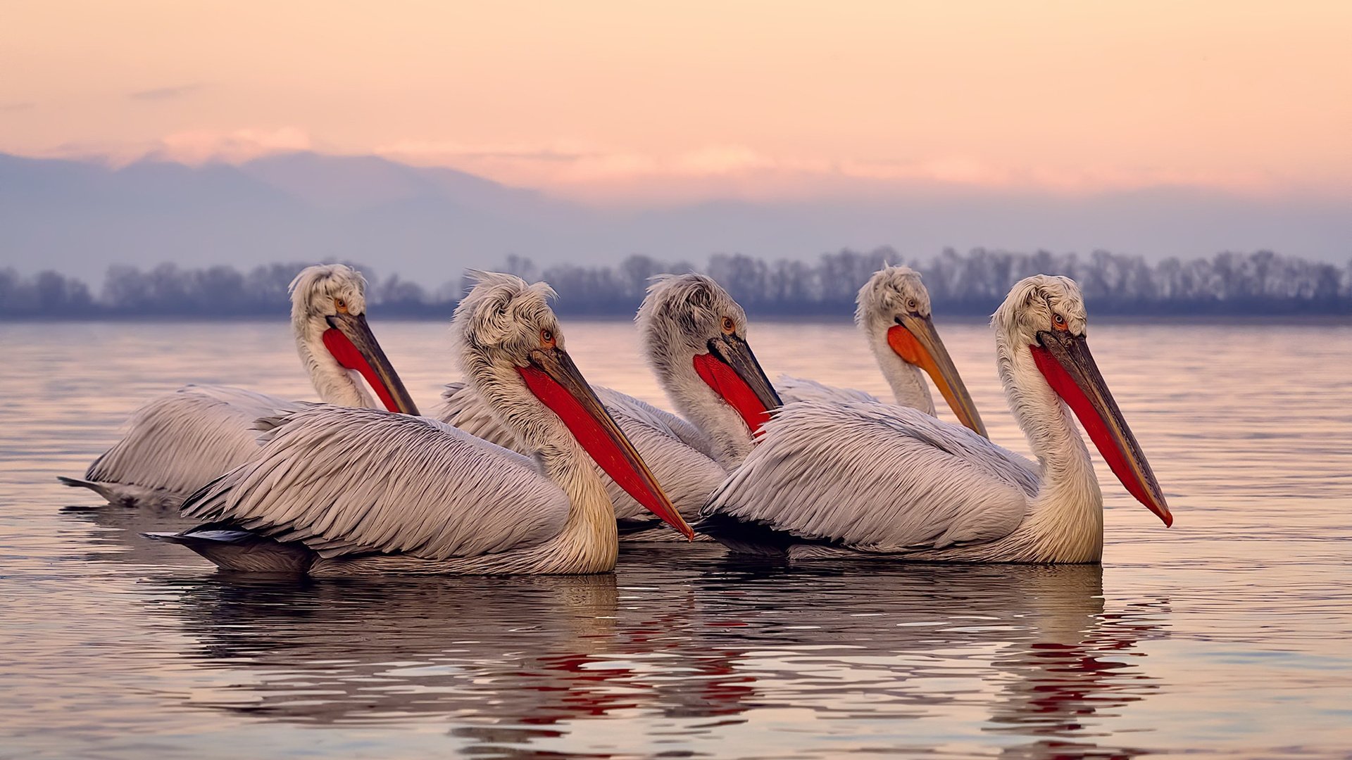 B体育亚洲官方网站-英超外援青训融合模式对年轻球员成长的助力，英超青训最好的球队