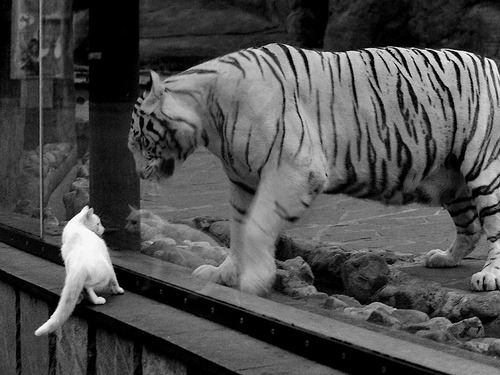 英超球队结合运动生理数据优化恢复周期，英超球队训练时间