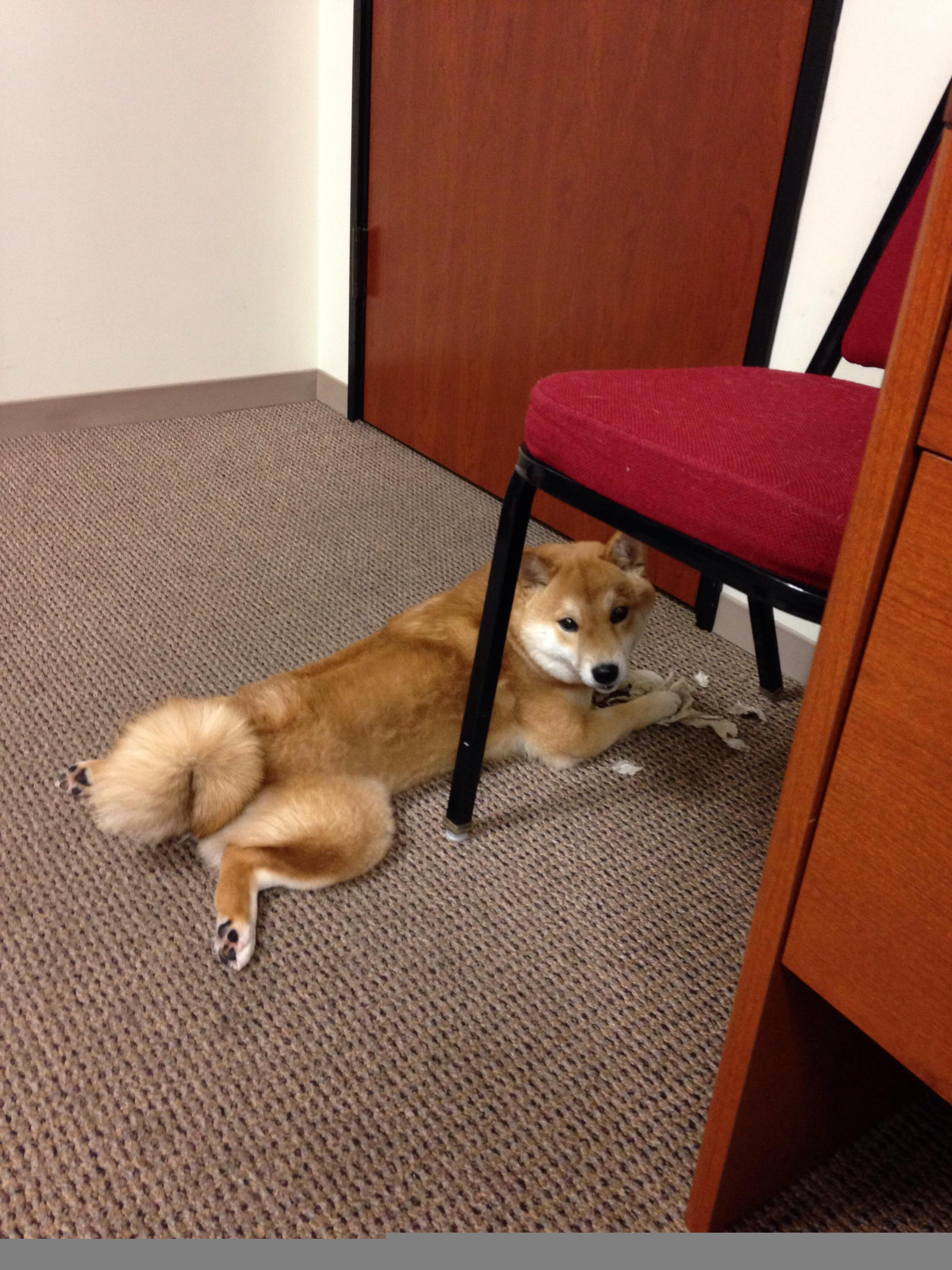 B体育下载-意甲赛场的环保节能方案推广