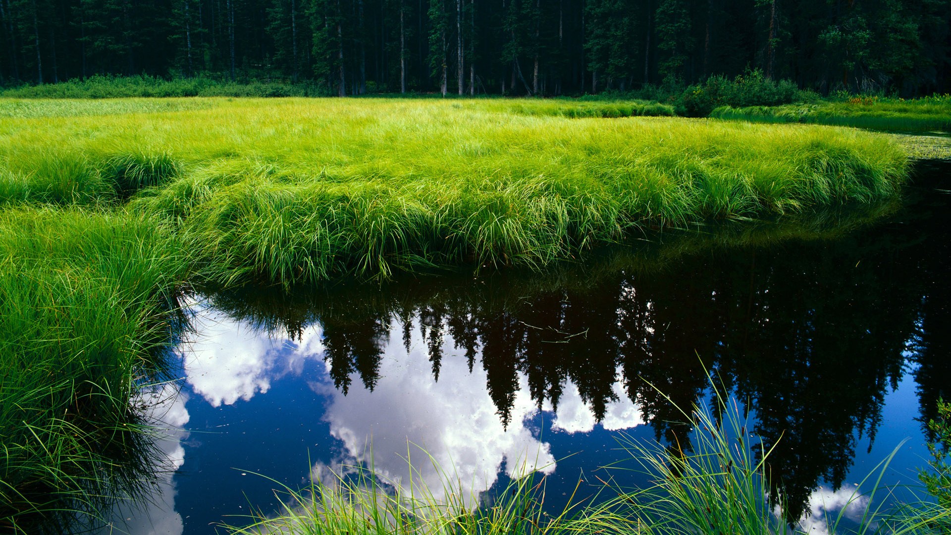 陈佳50米蝶泳突破自我极限，50米蝶泳全国纪录