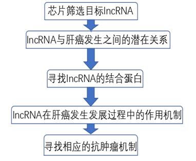B体育APP:降级球队的重建计划与青训体系的重要性的简单介绍